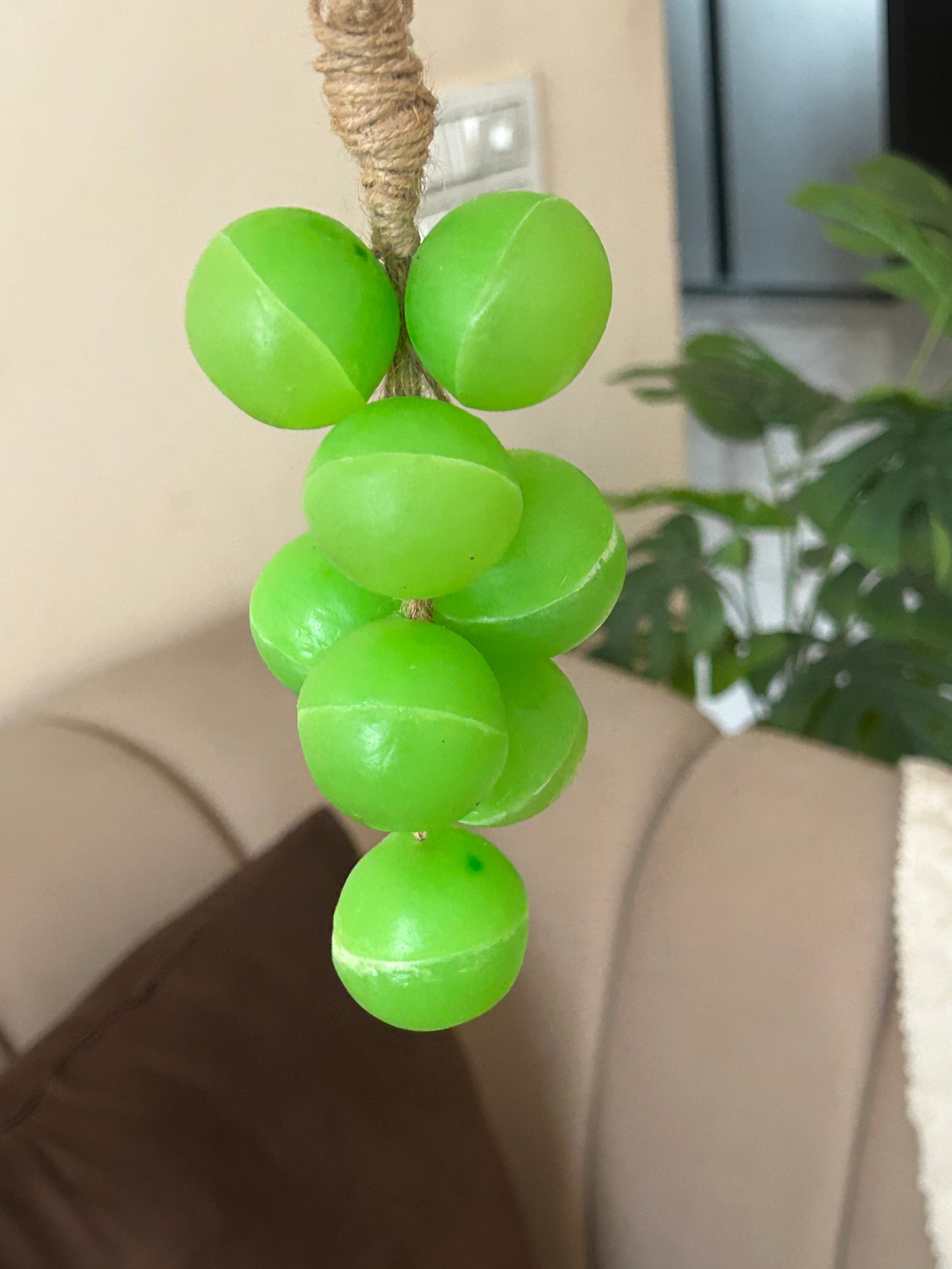 Grapes Hand-Wash